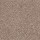 Shaw Floors: Newbern Classic 12 Taupe Mist